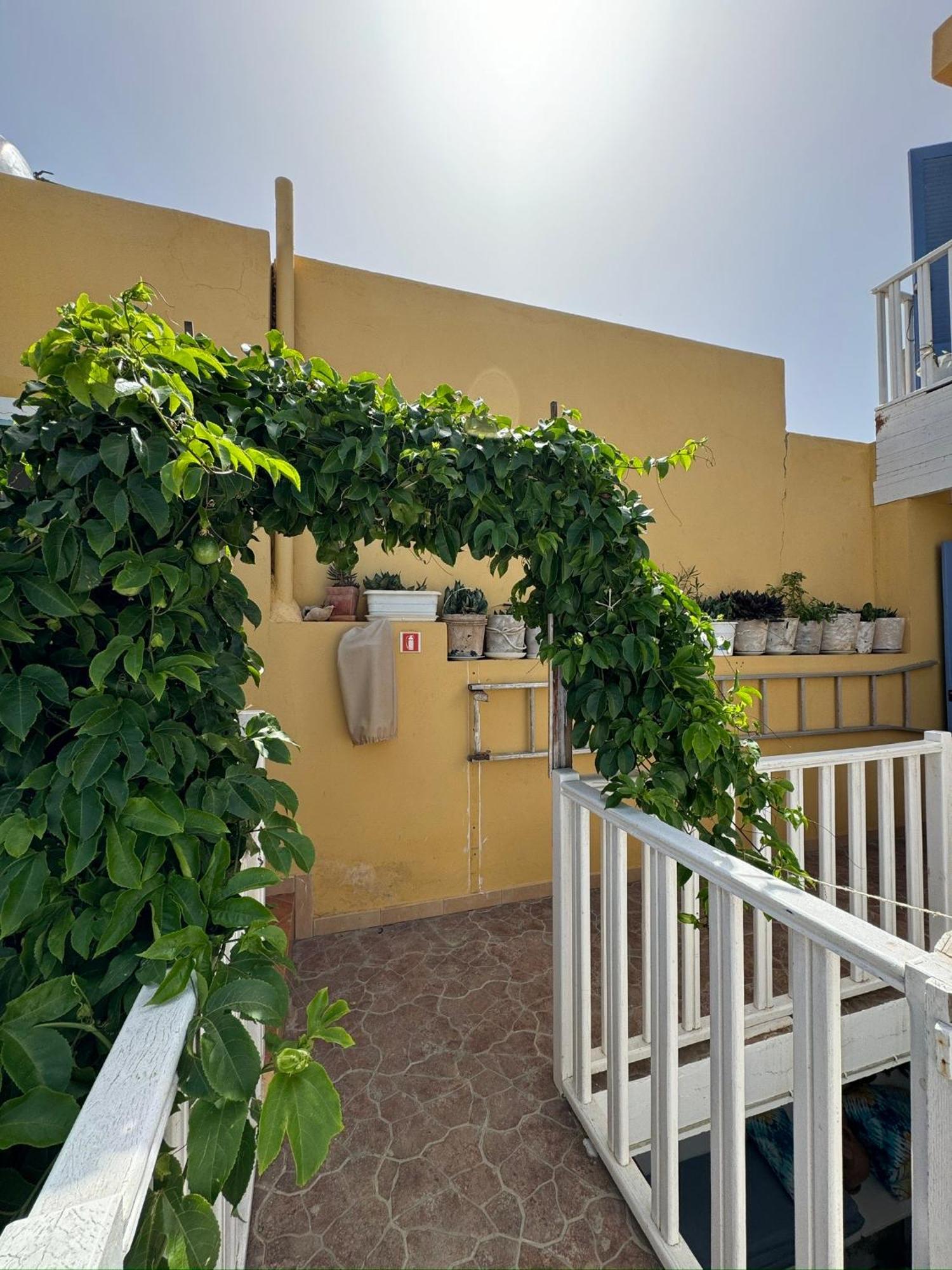 B&B Mi Ma Bo, Sal Rei, Boa Vista, Cape Verde, Free Wi-Fi Buitenkant foto